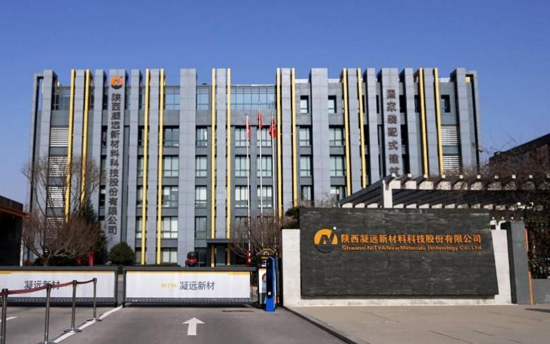 Shaanxi NITYA New Materials Technology Co., Ltd. (NITYA)